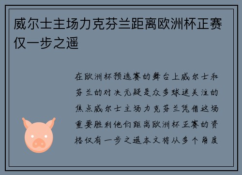 威尔士主场力克芬兰距离欧洲杯正赛仅一步之遥 威尔士主场力克芬兰距离欧洲杯正赛仅一步之遥