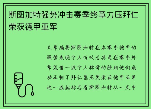 斯图加特强势冲击赛季终章力压拜仁荣获德甲亚军